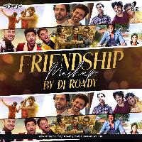Friendship Mashup - DJ Roady
